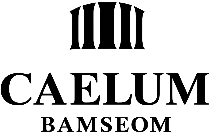 상지카일룸 밤섬
